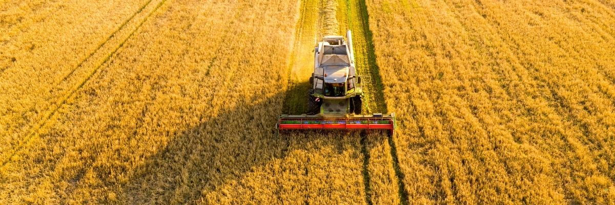 Bolvadin’de Tarım Sektöründe Son Gelişmeler